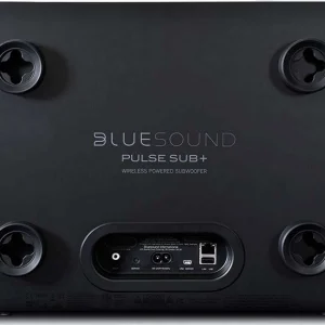 officiel Caissons De Basses Bluesound Pulse Sub + Noir 10