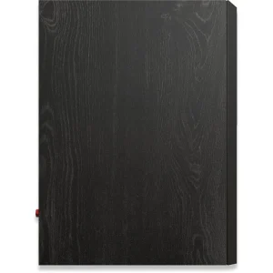 Enceintes Bibliothèques Klipsch Rp-600m Ii Ebony – La Paire a Prix Discount 21