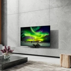 Livraison Standard/Rapide Téléviseurs Panasonic Oled Tx-55lz1000e 25