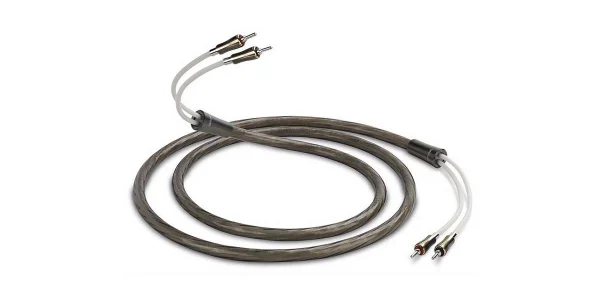 meilleur service Connectiques Audio QED Supremus Speaker Cable 1