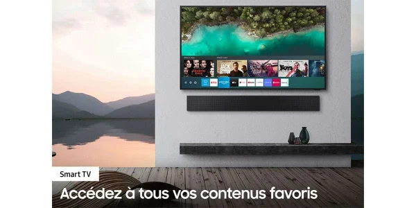 Téléviseurs Samsung QLED D’extérieur The Terrace 65” – Stock B achat pas cher 6