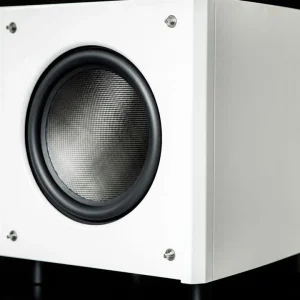 beauté Caissons De Basses Velodyne Spl 1000-x Blanc 11